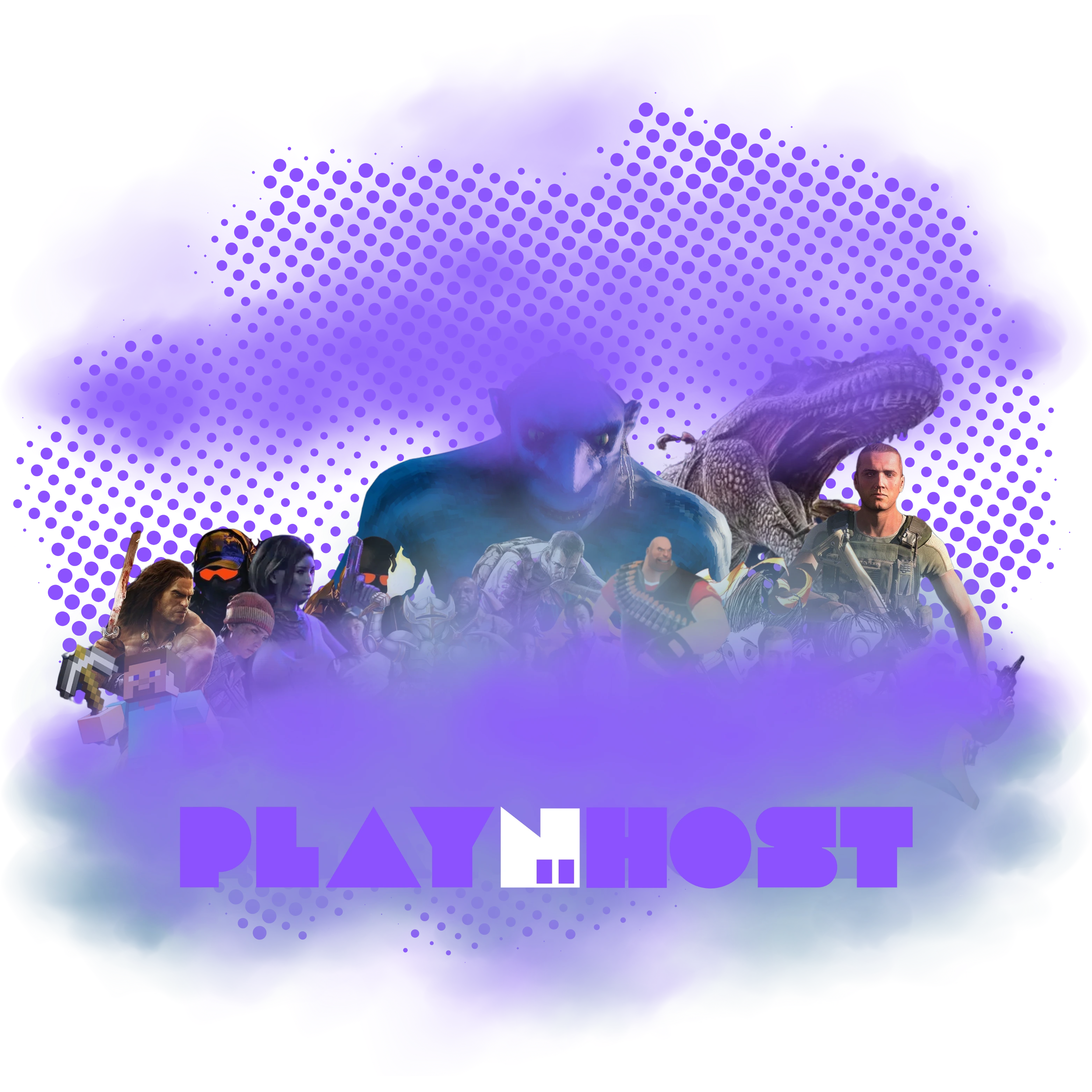 ABOUT PLAYNHOST
